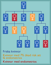 Genetisk disposition